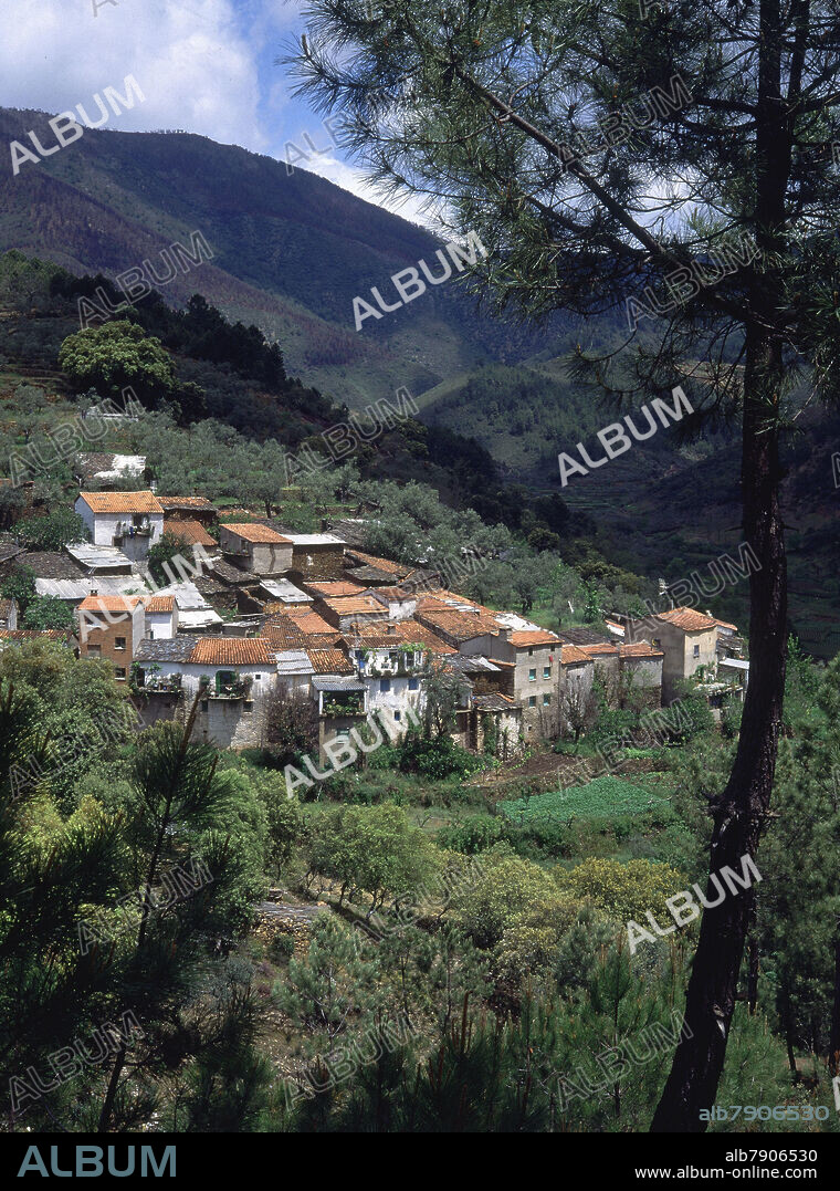 PANORAMICA DE AVELLANAR EN LA COMARCA DE LAS HURDES.