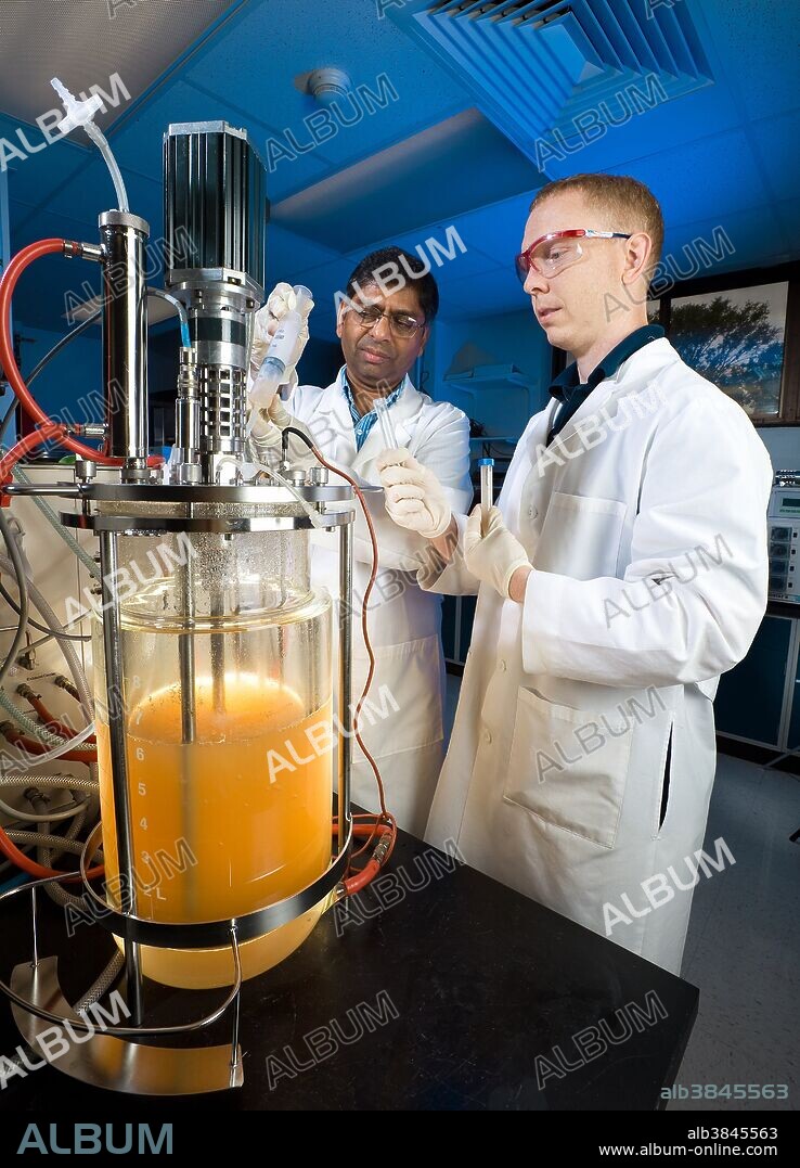 Bioethanol production from wheat straw. Chemist Badal Saha and technician Greg Kennedy collect a sample of a fungal culture to determine whether fermentation inhibitors are present after the pretreatment of wheat straw feedstock. Inhibitors can stop or reduce the rate of ethanol fermentation.