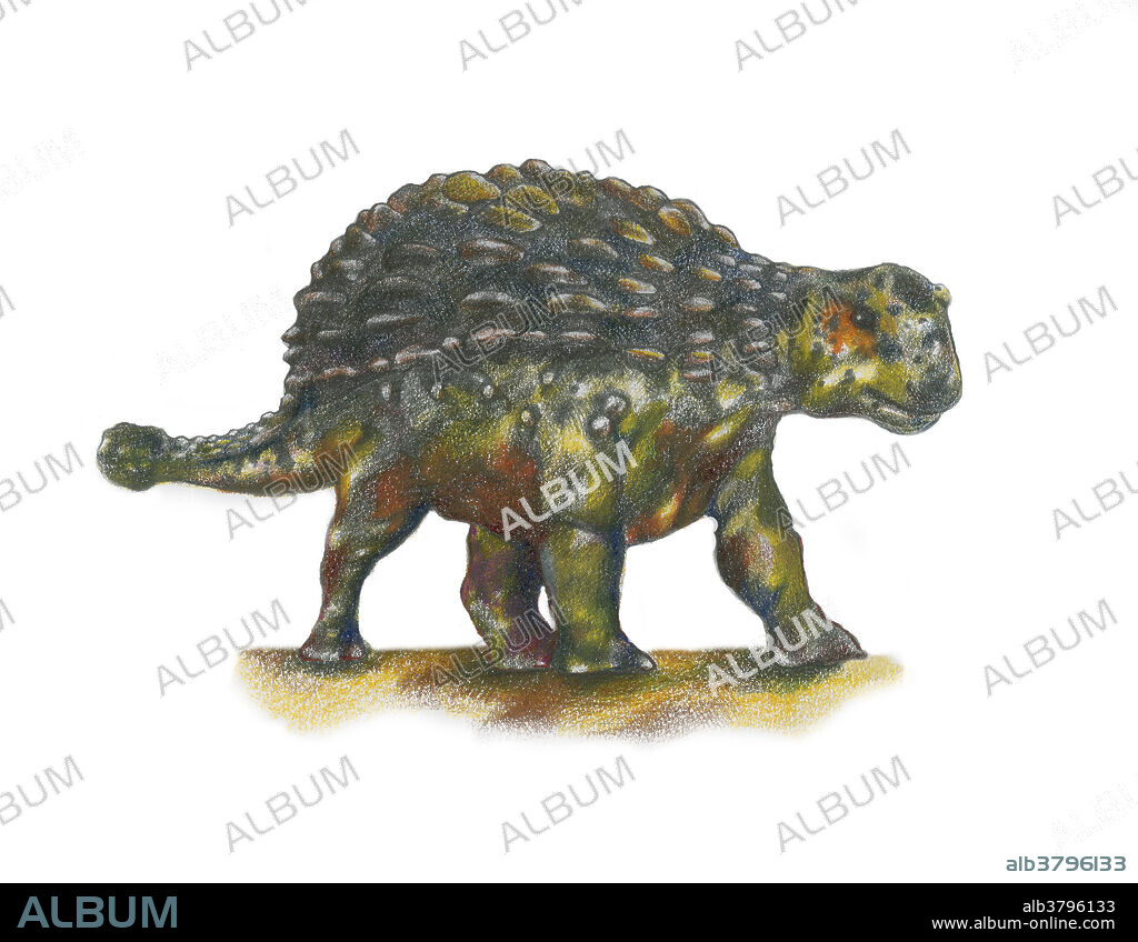 Illustration of an Ankylosaurus (Ankylosaurus magniventris), an armored dinosaur of the late Cretaceous period.