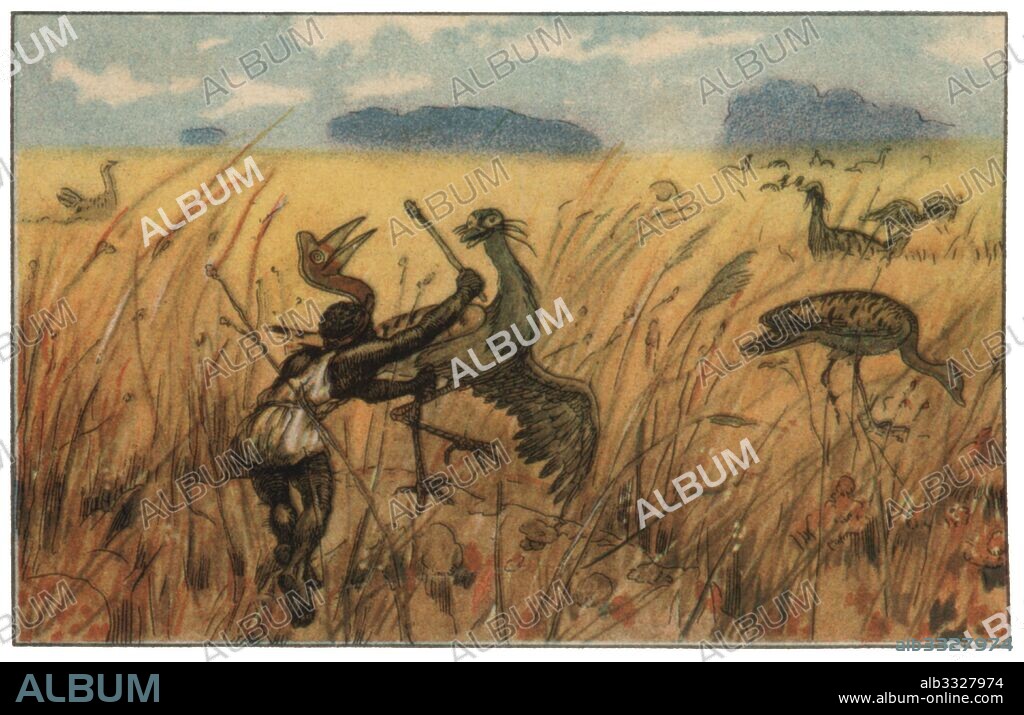 JOAN LLAVERIAS I LABRÓ. El hombre y las fieras. Cacerías y pescas primitivas. Caza de la avutarda en África, una de las aves voladoras más pesadas del mundo. Cromo de Chocolates Eduardo Pi. Años 1966.