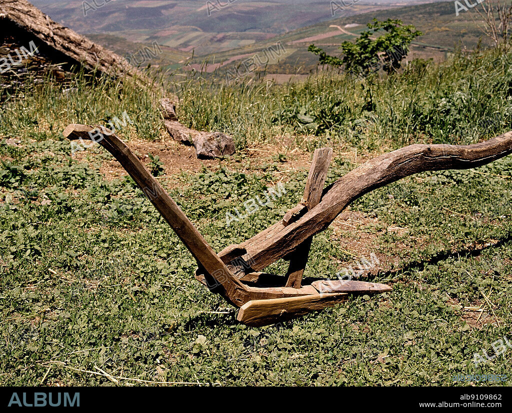 ARADO DE MADERA-ESTEVA - FOTO AÑOS 70.