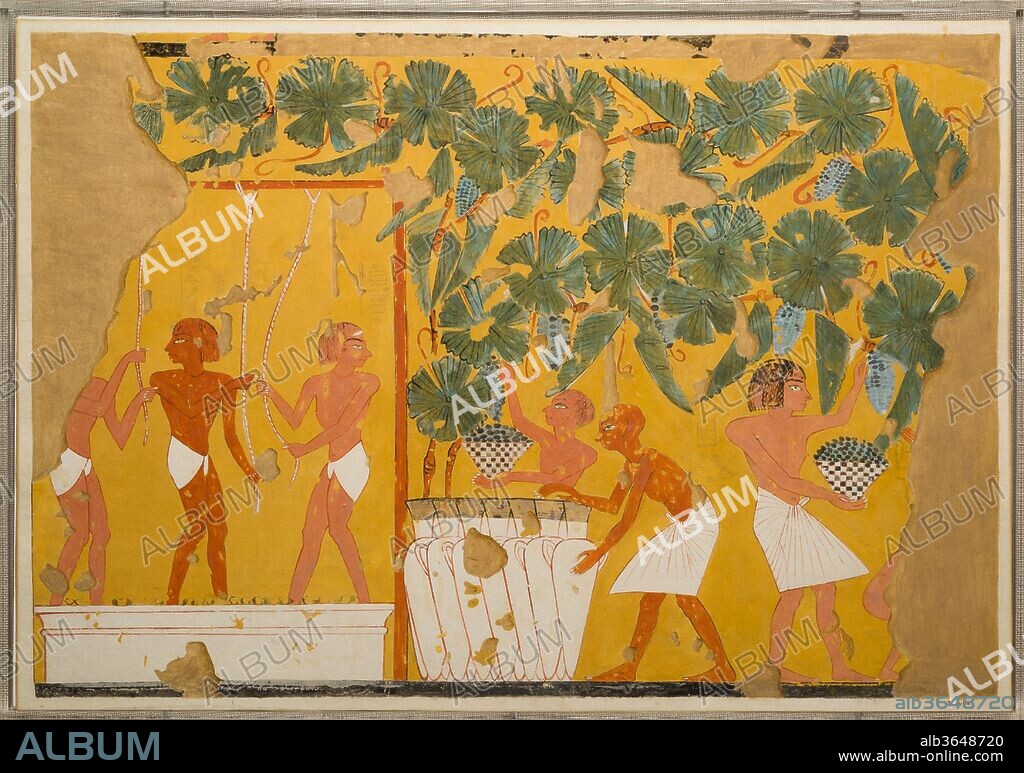 Winemaking, Tomb of Ipuy. Artist: Charles K. Wilkinson. Dimensions: facsimile: h. 45 cm (17 11/16 in); w. 65 cm (25 9/16 in); scale 1:1; framed: h. 48.7 cm (19 3/16 in); w. 69.5 cm (27 3/8 in). Dynasty: Dynasty 19. Reign: reign of Ramesses II. Date: ca. 1279-1213 B.C..