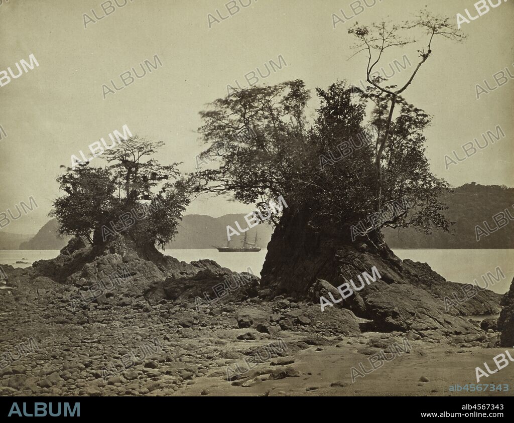 Islands in Limón Bay, 1871.