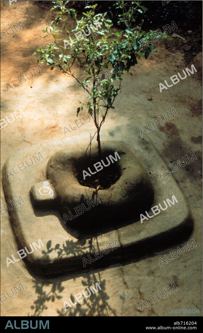 AYURVEDA: ART OF BEING, 2001, directed by PAN NALIN. Copyright PANDORA FILM PRODUKTION.
