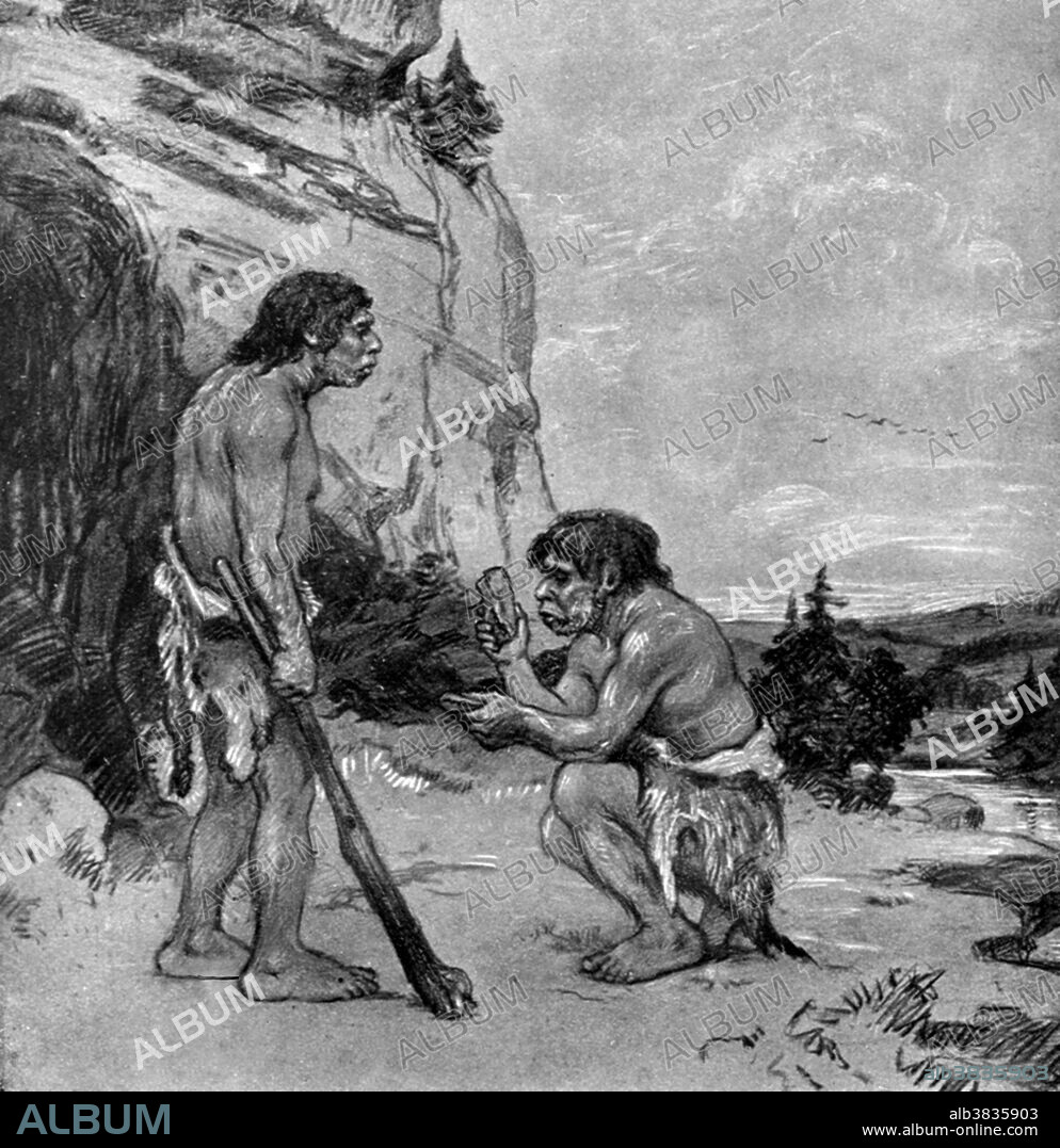 Neanderthal Man. An extinct human species (Homo neanderthalensis) or subspecies (Homo sapiens neanderthalensis) living during the late Pleistocene Epoch throughout most of Europe and parts of Asia and northern Africa and associated with Middle Paleolithic tools. Physically, the Neanderthals were about the same height as most modern humans, on the average 5 ft 5 inches, but they were much more heavily built. They had heavy necks, broad and muscular shoulders, and extremely muscular arms, hands, and legs. They are known for their long, low brain cases and their projecting faces with large brows and prominent noses. Illustration originally captioned: Neanderthal Man (Osborn) from unidentified source, 1916.