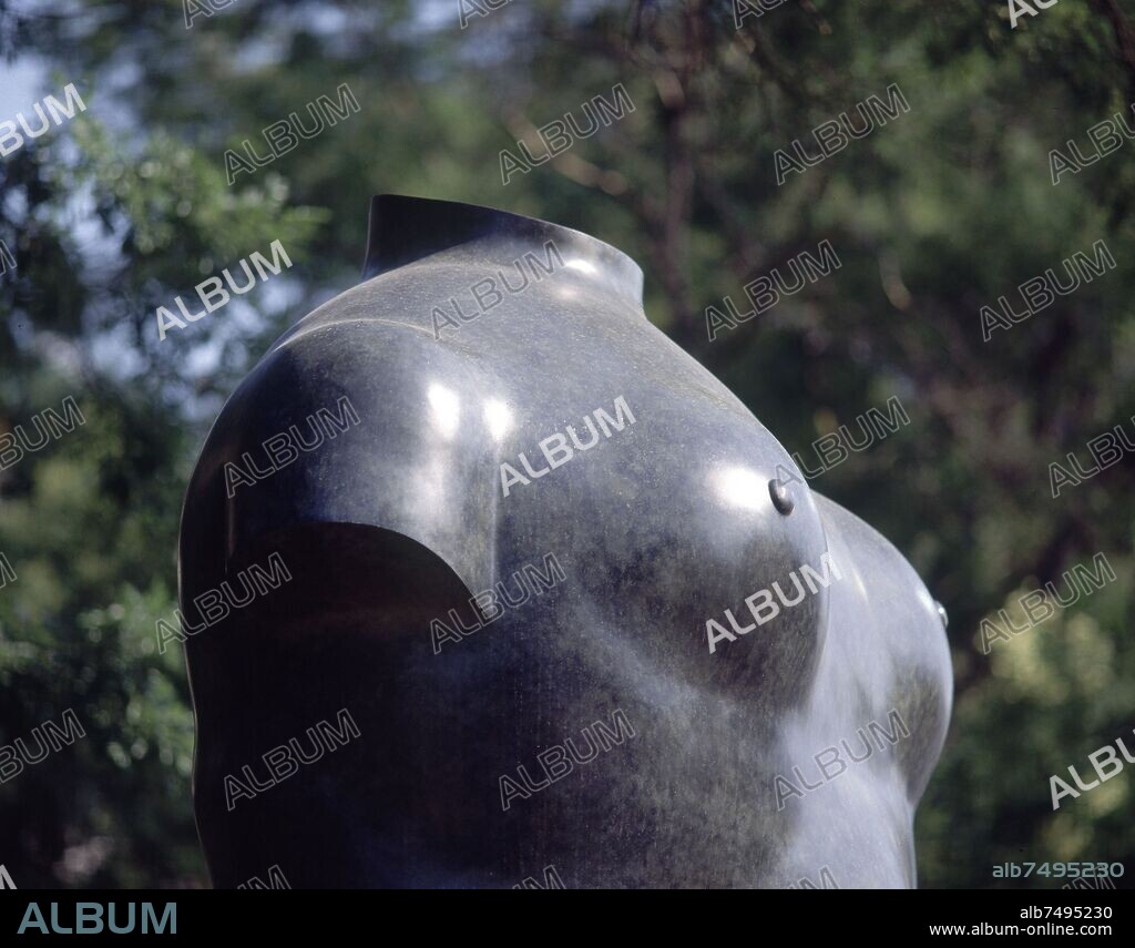 FERNANDO BOTERO. DETALLE - TORSO DE MUJER.