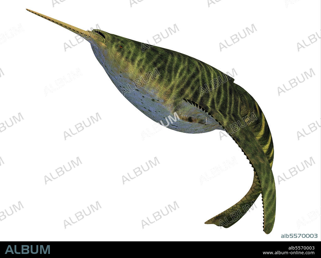 Doryaspis fish, side profile. Doryaspis is an extinct primitive jawless fish that lived in the seas of the early Devonian Period.
