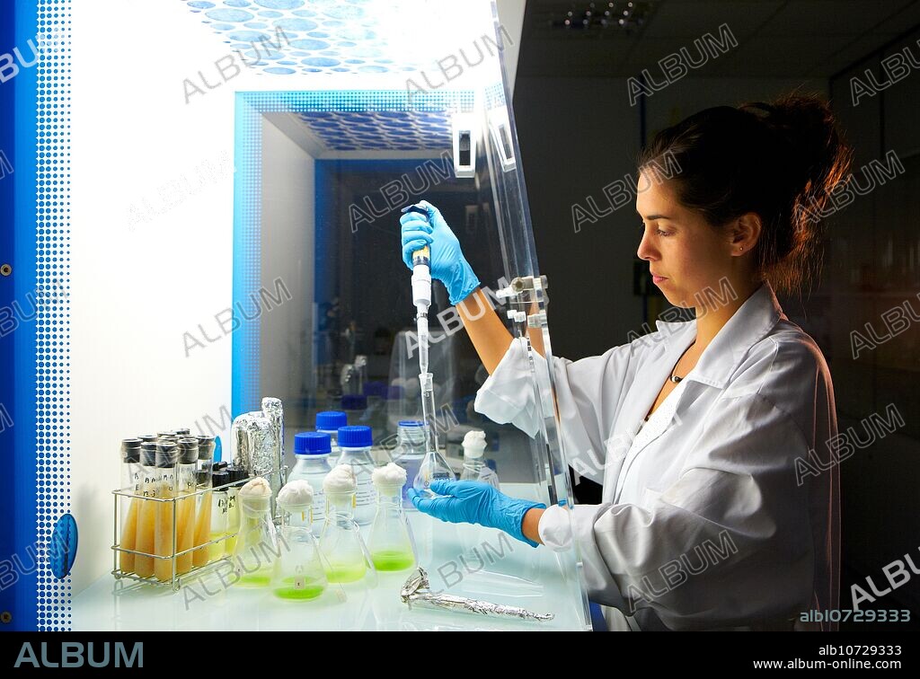 Ecotoxicity and biocide test laboratory, Technology Research Center, Tecnalia Construction, CIDEMCO-Tecnalia Research & Innovation, development of new products and innovative solutions through research and innovation in different fields of activity as materials and sustainable chemistry, energy efficiency of buildings, rehabilitation and safety, Azpeitia, Gipuzkoa, Euskadi, Spain.