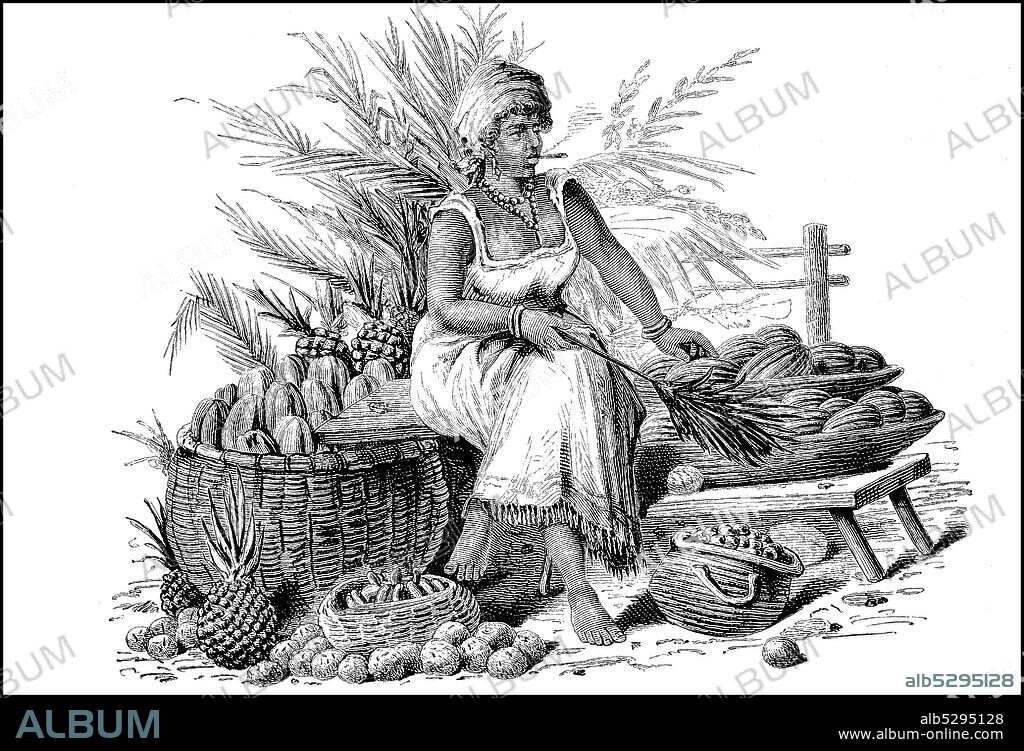 Woman Fruit Seller in Rio de Janeiro, Brazil, women in the 19th century  /  Frau, Obsthändlerin in Rio de Janeiro, Brasilien, Frauen im 19. Jahrhundert, Historisch, historical, digital improved reproduction of an original from the 19th century / digitale Reproduktion einer Originalvorlage aus dem 19. Jahrhundert.