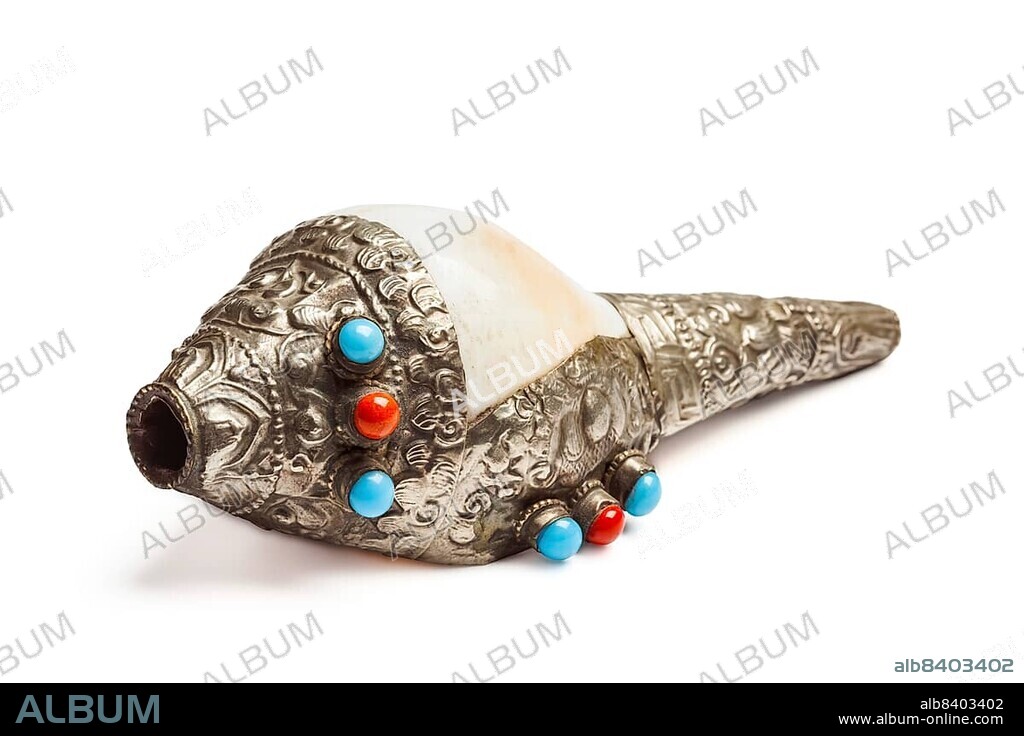 Tibetan Buddhist Conch Shell Horn Dung-Dkar isolated on white.