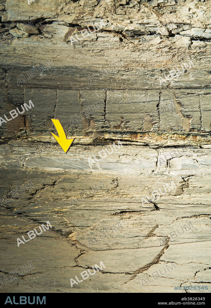 KT Boundary and Iridium Boundary Layers in Rock Strata. Mesalands Community College Dinosaur Museum. Tucumcari New Mexico.
