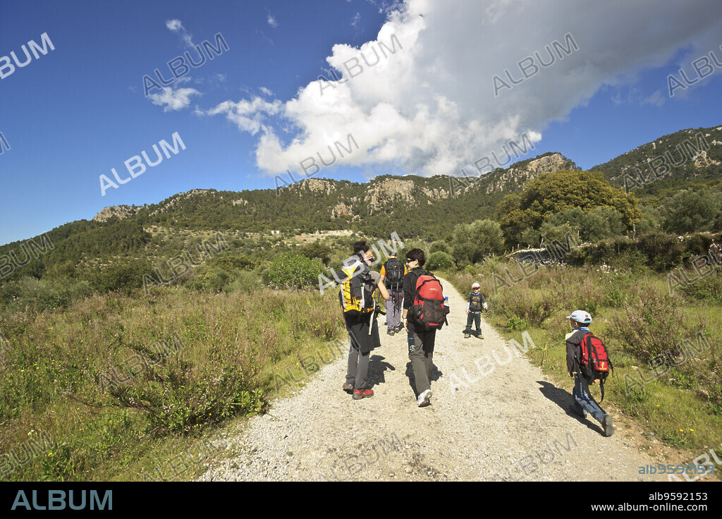Finca publica Planicia. Banyalbufar.Mallorca.Islas Baleares. Spain.