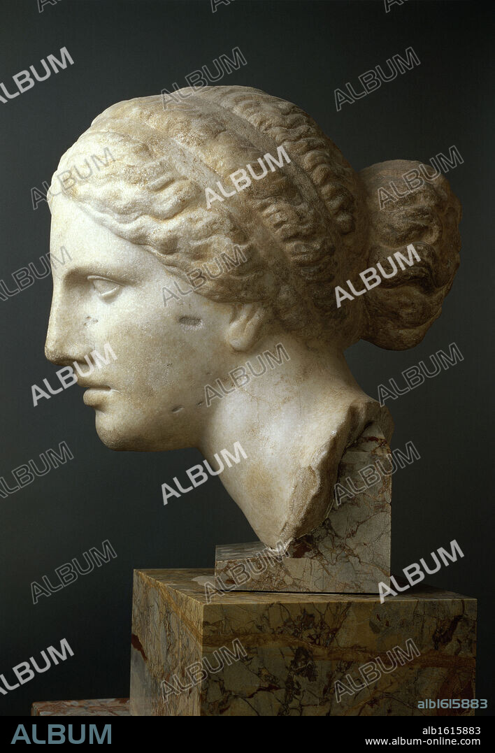 Profile Of A Woman's Head   Greek Art.