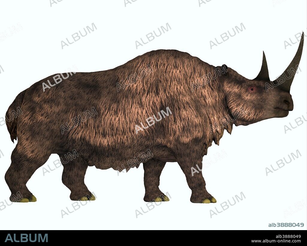 Woolly Rhinoceros is an extinct mammal that lived during the Pleistocene Period in Europe and Asia.
