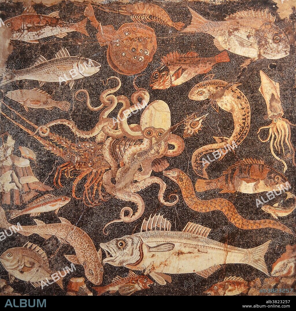 Ancient Roman mosaic recovered from Pompeii or Herculaneum, on display at the Naples National Archaeological Museum, Italy. Both Pompeii and Herculaneum were buried by the eruption of Mount Vesuvius in 79 AD.
