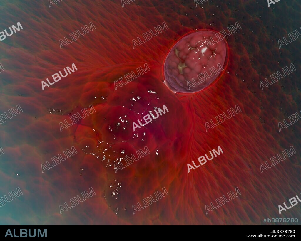 Conceptual image of ovulation in female.