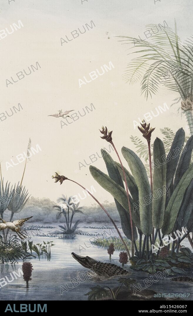 Éliconia., 1834 - 1839, Debret, Jean Baptiste (1768-1848), Date Issued: 1834 - 1839, Place: Paris, Publisher: Firmin Didot Frères, Brazil, Social life and customs, Birds, Crocodiles, Plants, Flowers, Tropical blooms rise, Birds and crocodiles abide, Nature's social dance.