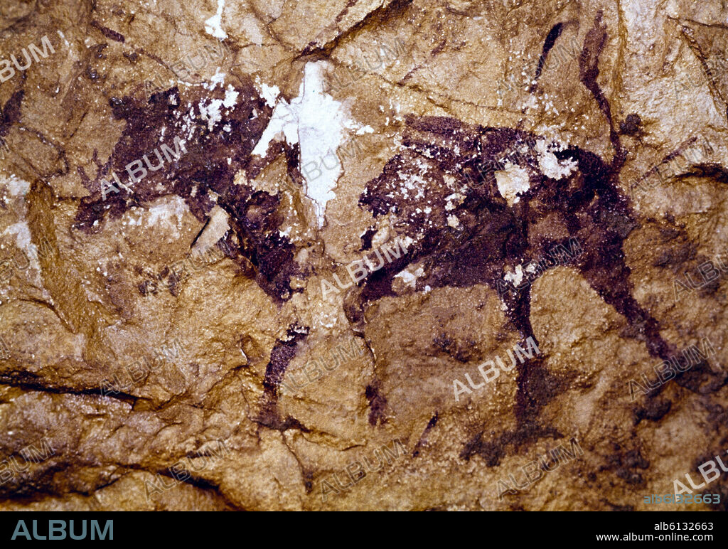 ABRIGO MAS D'EN JOSEP-PINTURA  RUPESTRE - ANIMAL EPIPALEOTICO Y MESOLITICO - 8000-1200 AC.