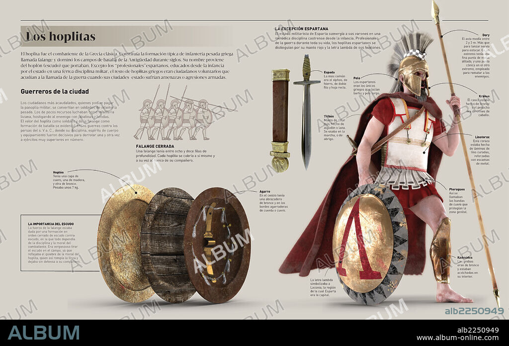 Los hoplitas. Infografía sobre los hoplitas, ciudadanos voluntarios de la Grecia clásica que combatían en caso de guerra, y sobre los hoplitas espartanos, una excepción ya que estos sí que eran profesionales de la guerra.