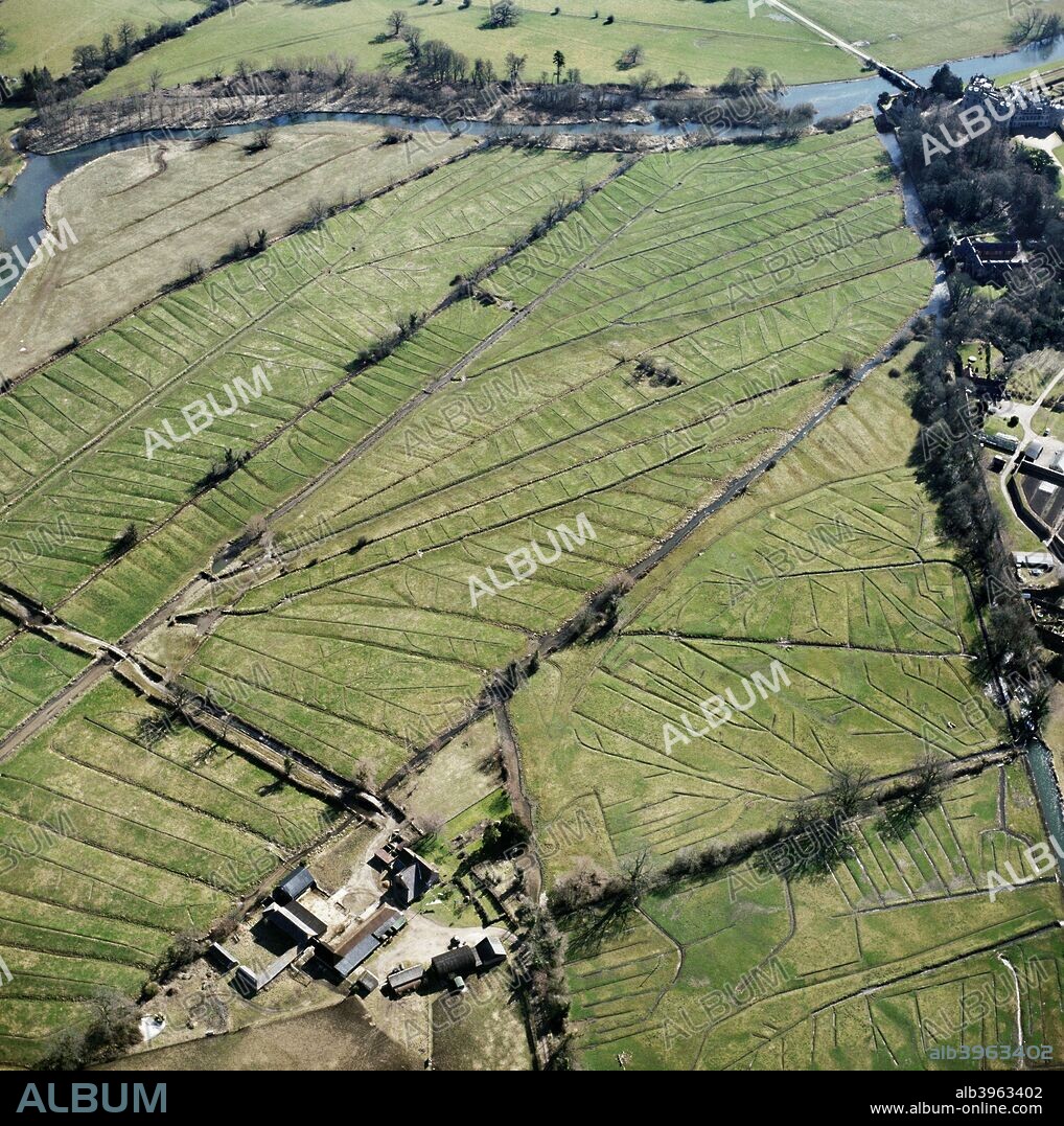 Water meadows, Lower Farm, Britford, Wiltshire, 2006. At Britford, just south of Salisbury on the River Avon, a complex system of leats is used to channel water over the valley bottom in order to encourage early spring grass for flocks of sheep. The system of water meadows developed here from the early 17th century.