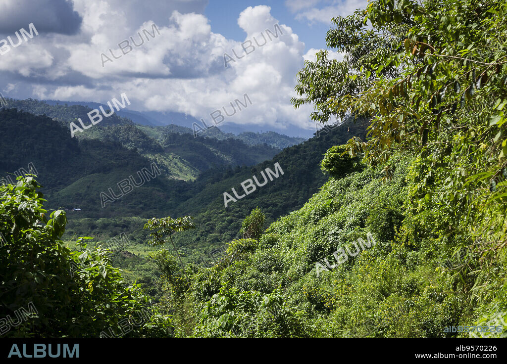 Saquixpec, sierra de Chama, zona Reyna, Quiche, Guatemala, Central America.