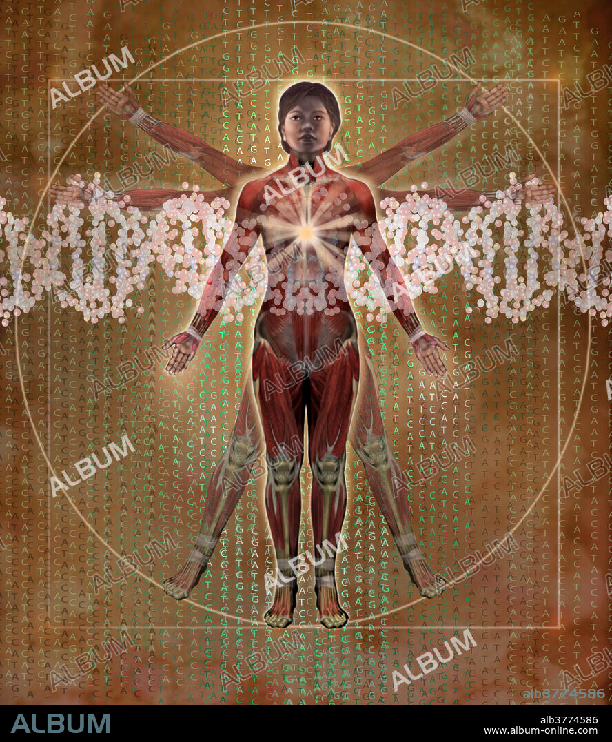 This illustration pays homage to the famous drawing Vitruvian Man by Leonardo Da Vinci. In the drawing, Da Vinci portrays the proportions of man, or the Canon of Proportions. The drawing is based on the correlations of ideal human proportions with geometric proportions described by the ancient Roman architect Vitruvius in his treatise De Architectura. Vitruvius described the human figure as being the principal source of proportion among the classical orders of architecture. In this illustration, the figure of a man is replaced by that of a woman. Additional elements include a representation of the DNA molecular double-helix.
