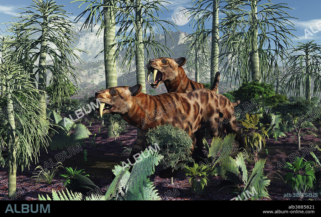 A pair of Sabre-Toothed Tigers hunting during the Pleistocene period of time.