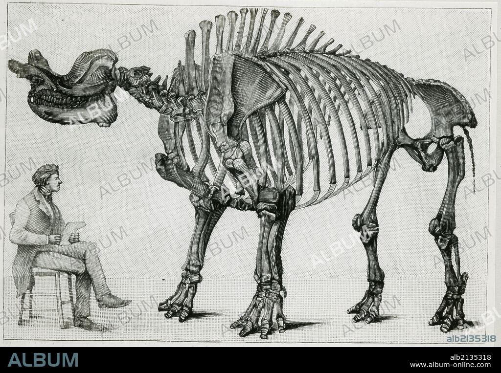Brontops robustus. Reconstruction by OthnielCc Maarsh (1821-1899) Engraving 1891. (Photo by: Universal History Archive/UIG via Getty Images).