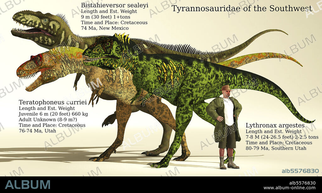 Size reference chart of Tyrannosaurids from Southwest United States, alongside a human for comparison. Pictured are Bistahieversor, Teratophoneus and Lythronax.