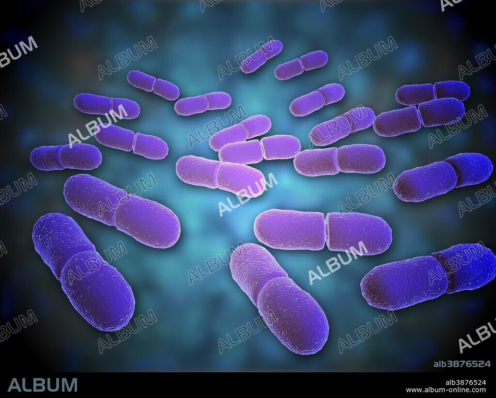 Microscopic view of Listeria monocytogenes. Listeria monocytogenes is the causative agent of the bacterial infection called listeriosis.