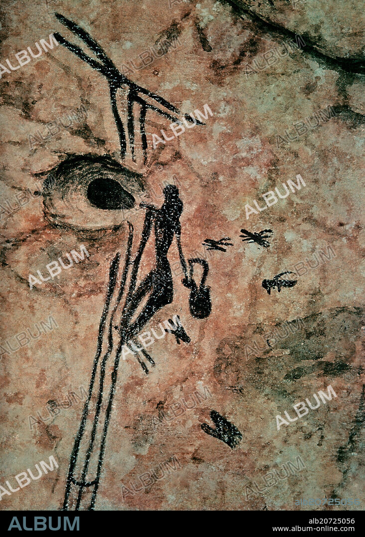 CUEVA DE LA ARAÑA - PINTURA RUPESTRE - RECOLECCION DE MIEL- 5000 AC.