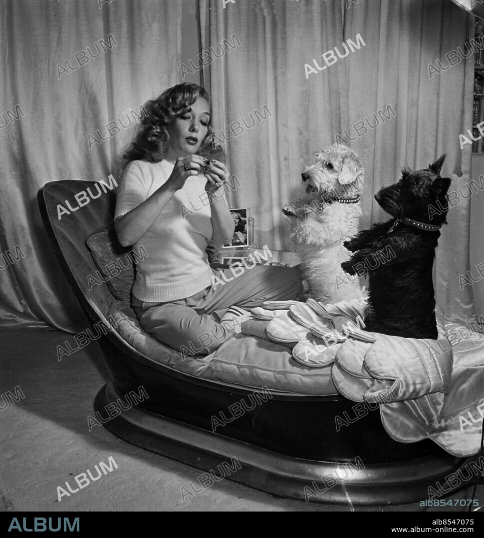 ARKIV HOLLYWOOD 194412.. Lupe Vélez, mexikansk-amerikansk skådespelerska, med sina hundar Chips och Chops i hemmet i Hollywood. Bilden är en av de sista som togs av filmstjärnan innan hon begick självmord.. Foto: SVT / Kod: 5600. AB Text & Bilder. Engelsk originalbildtext. Mapp: Lupe Vélez, filmstjärna . Tigga Sovrum Sällskapsdjur.