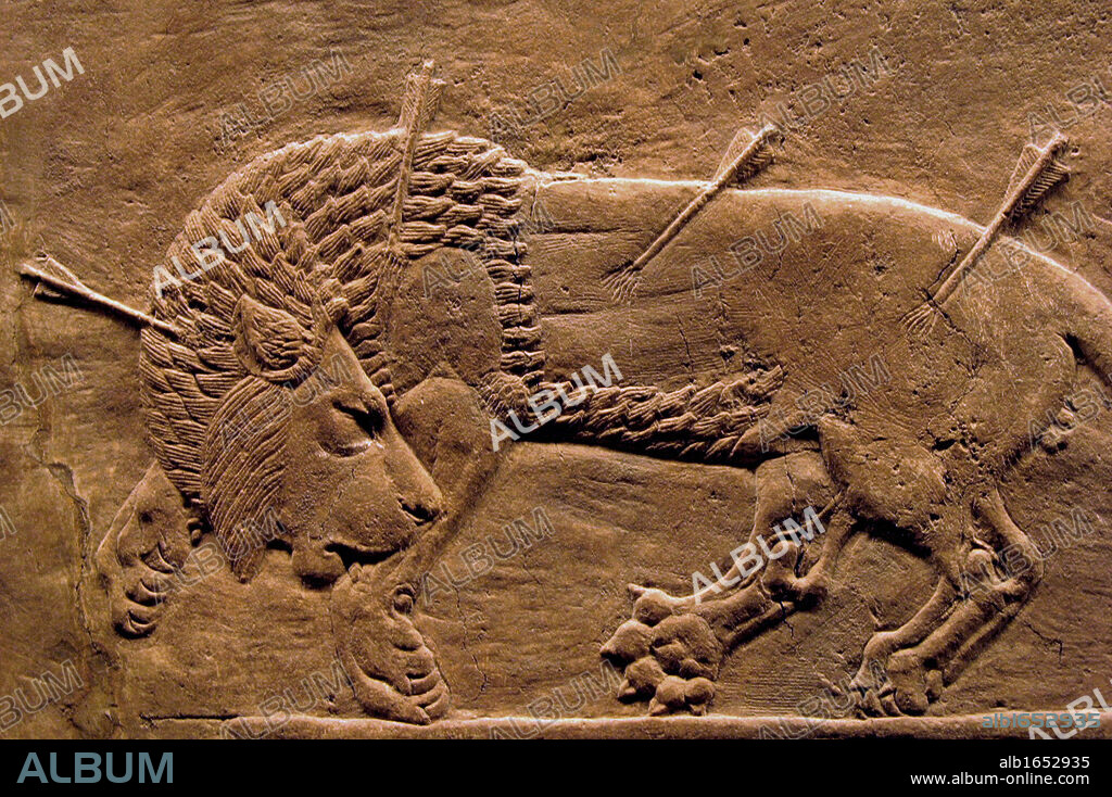 Assyrian bas relief panel, in limestone from a frieze showing the King's lion hunt. from the Palace of Nineveh, circa 645-635 BC.