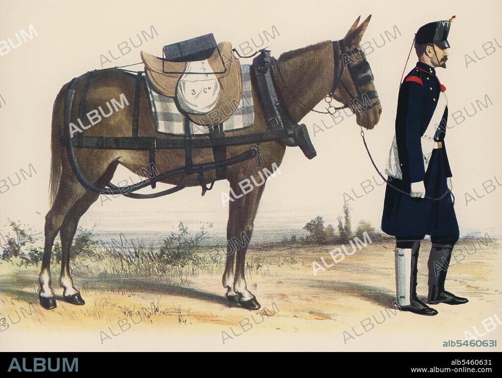 España. Artillería española. Uniformes. Regimientos montados. Mula con atalaje de marcha y conductor de marcha. Grabado de 1862.
