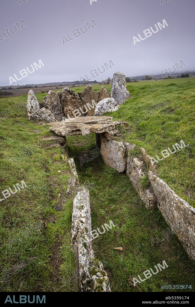 Dolmen of the Cotorrita, Neolithic burial chamber, municipality of Los Altos, Las Merindades, Burgos, Spain.