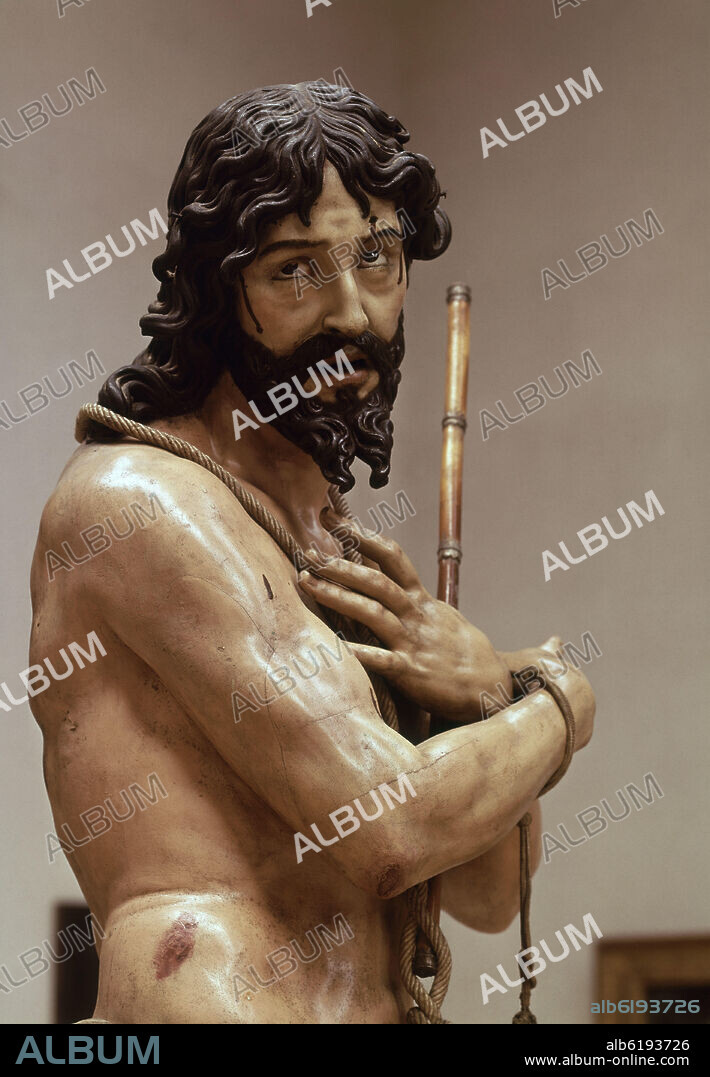 GREGORIO FERNANDEZ. ECCE HOMO - DETALLE DE MEDIO CUERPO - S XVII - BARROCO ESPAÑOL - MADERA POLICROMADA.