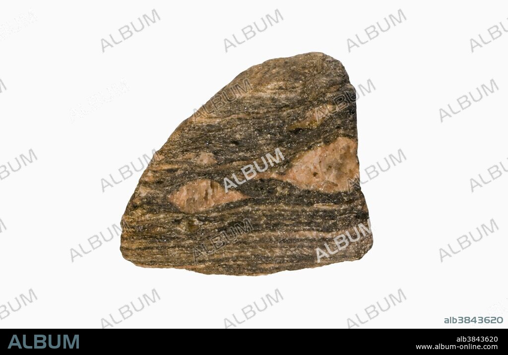 Augen Gneiss. Sample courtesy of Perkins Museum of Geology, University of Vermont.