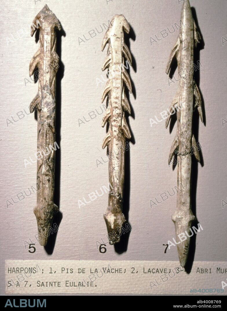 Bone Harpoons for fishing, Dordogne region, France, Paleolithic Period, (c20th century). The Paleolithic age is a prehistoric period of human history distinguished by the development of the most primitive stone tools.