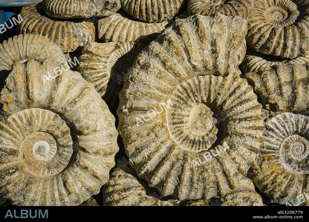 fosiles a la venta en el zoco, Chefchauen, -Chauen-, Marruecos, norte de Africa, continente africano.