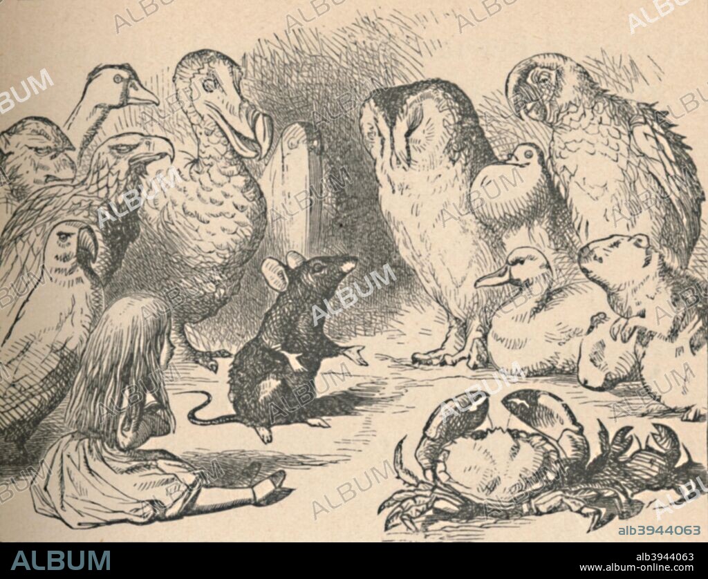 'Illustration for the chapter 'a Caucus-Race and a long tail'. Alice and various creatures, such as a crab, owl, parrot, duck and mouse', 1889. Lewis Carroll's (1832-1898) 'Alice in Wonderland' as illustrated by John Tenniel (1820-1914). From Alice's Adventures in Wonderland by Lewis Carroll. [Macmillan & Co., New York, 1889].