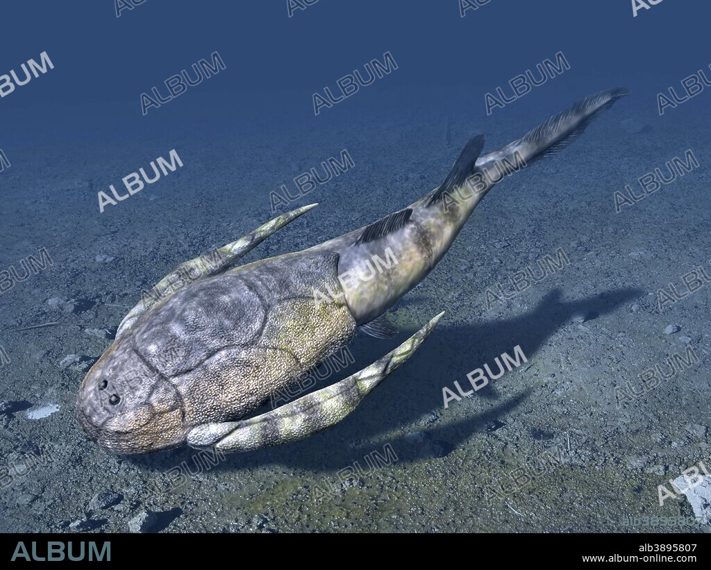 Bothriolepis canadensis is an extinct placoderm from the Late Devonian of Canada.