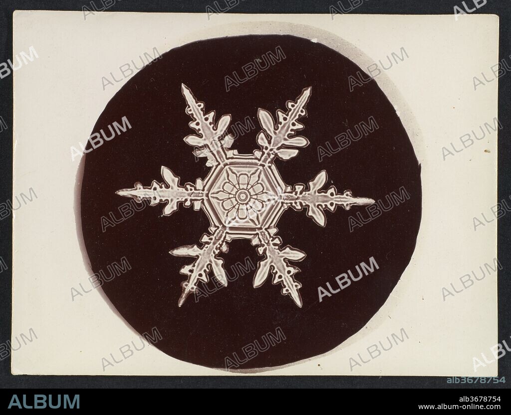 [Snow Crystal]. Artist: Wilson Alwyn Bentley (American, 1865-1931). Dimensions: Image: 2 3/4 × 2 7/8 in. (7 × 7.3 cm)
Sheet: 3 × 4 in. (7.6 × 10.2 cm). Date: 1890s-1920s.