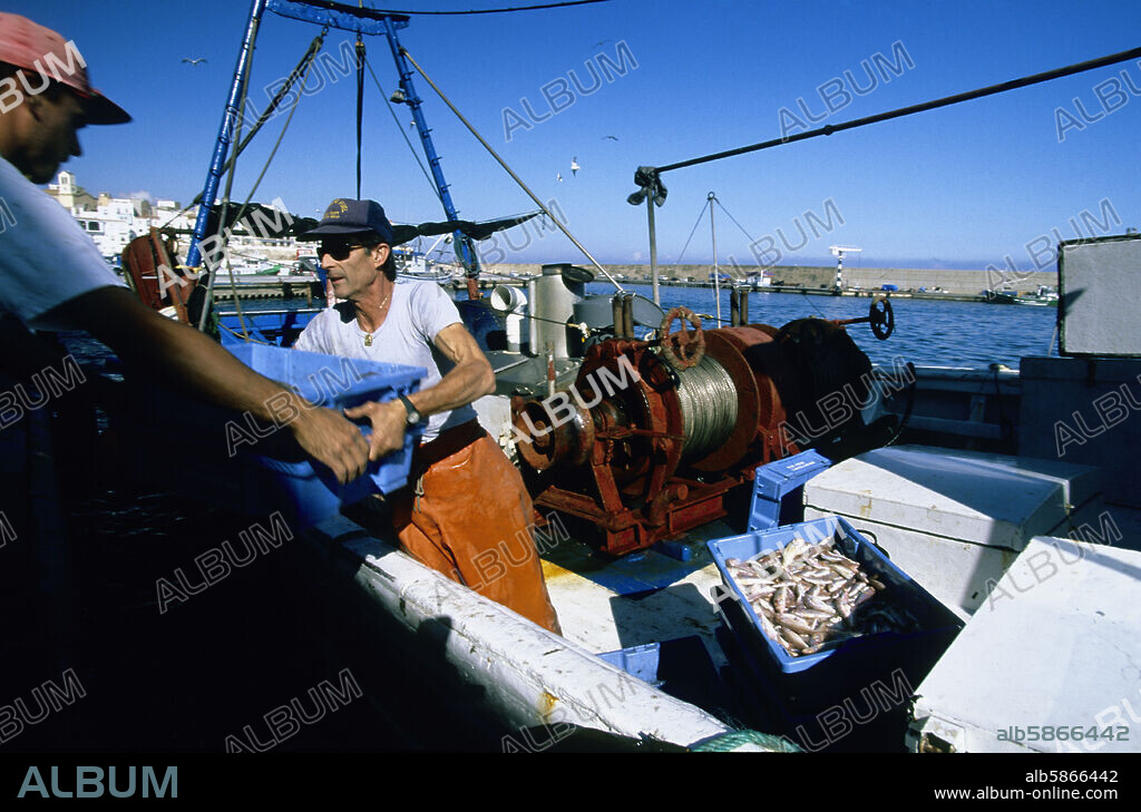 L'Ametlla de Mar, puerto y pescadores descargando la pesca; Costa Dorada / Daurada.