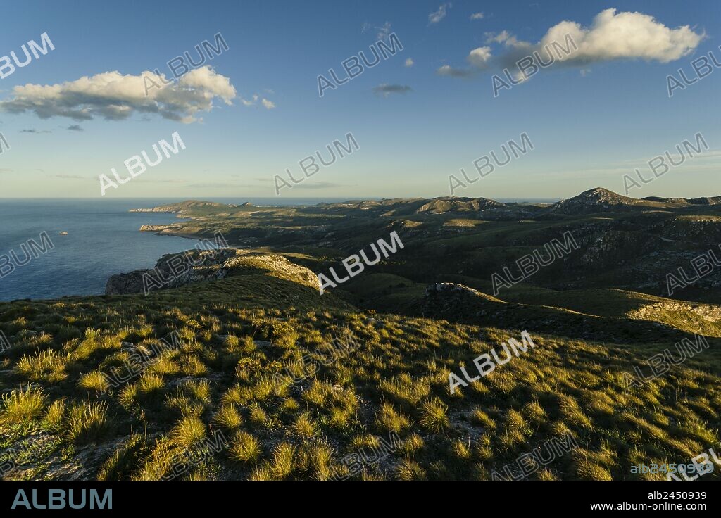 parque natural de la peninsula de Llevant, Artà. Mallorca, Islas Baleares, España.