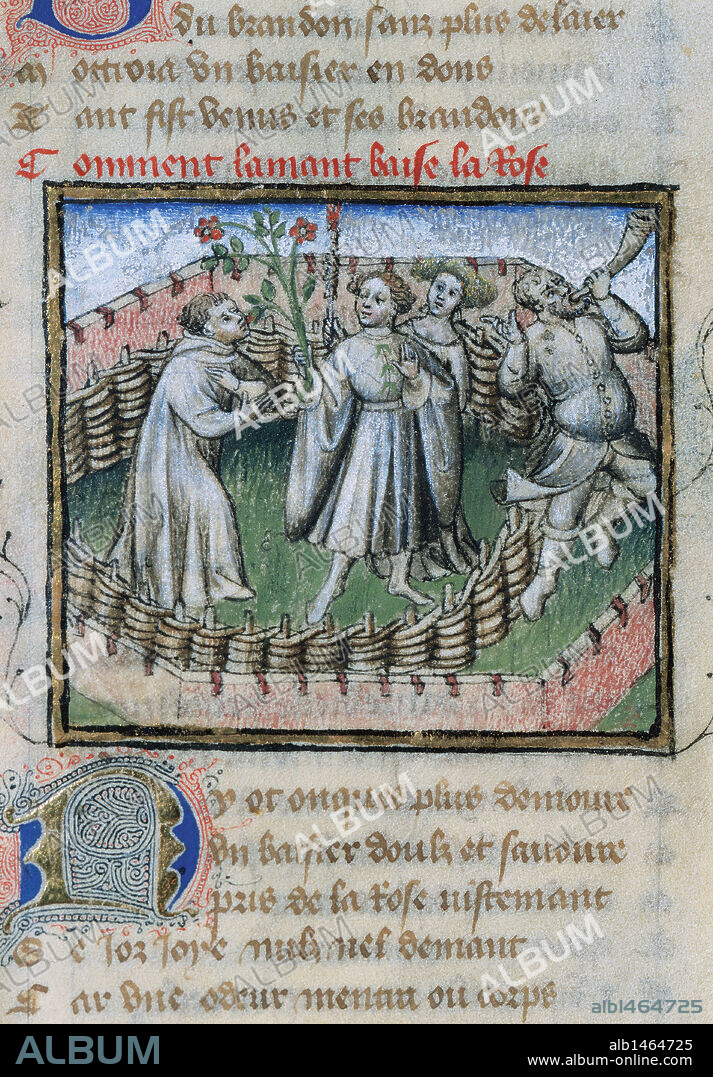 Roman de la Rose. Medieval French poem. It was started by Guillaume de Lorris, c. 1230 but continued only some 40 years later by Jean de Meun. Miniature of the 14th century depicting Guillaume visiting the Garden and falling in love with the Rose, which symbolizes the beloved woman. Library of the University of Valencia, Spain.