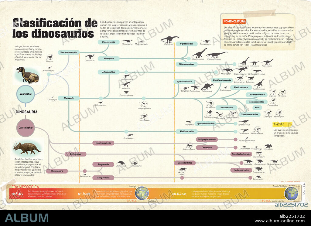 Classification of dinosaurs. Infographics about the classification of dinosaurs and their scientific names.