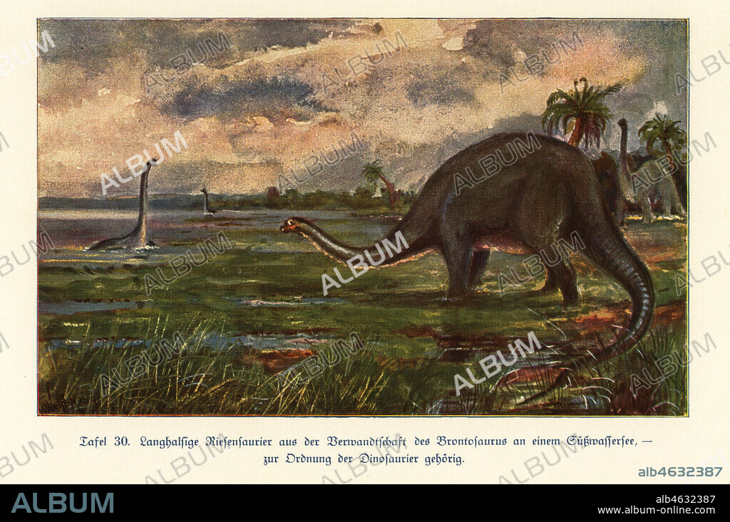 Reproduction of giant Brontosaurus genus dinosaurs in a freshwater lake, Jurassic. Colour print after an illustration by Hugo Wolff-Maage from Wilhelm Bolsches Das Leben der Urwelt, Prehistoric Life, Georg Dollheimer, Leipzig, 1932.