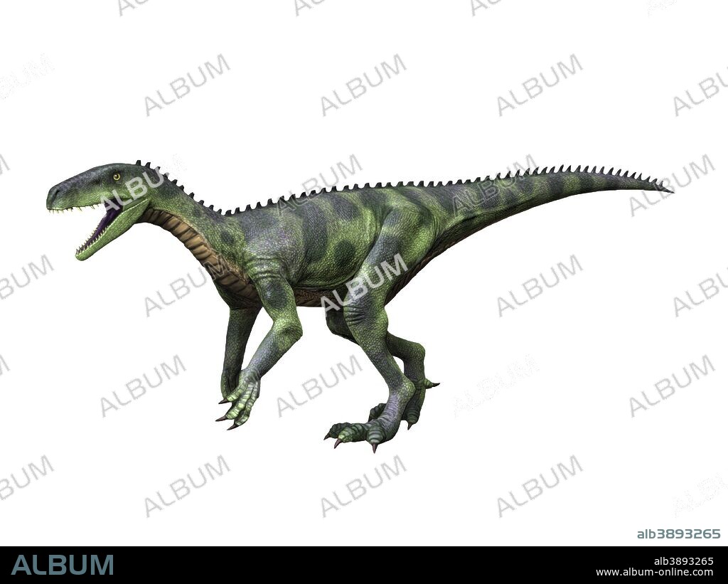 Herrerasaurus ischigualastensis is a theropod dinosaur from the Late Triassic of Argentina.