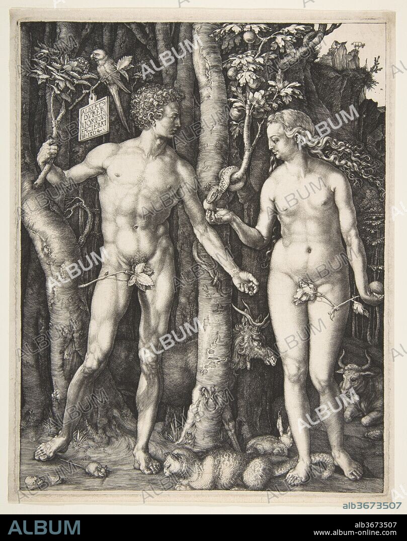 ALBRECHT DÜRER. Adam and Eve. Artist: Albrecht Dürer (German, Nuremberg 1471-1528 Nuremberg). Dimensions: 9 7/8 x 7 7/8in. (25.1 x 20cm). Date: 1504.
Throughout his life, Dürer was in thrall to the idea that the perfect human form corresponded to a system of proportion and measurements and could be generated by using such a system. Near the end of his life, he wrote several books codifying his theories, including the Underweysung der Messung (Manual of measurement), published in 1525, and Vier Bücher von menschlichen Proportion (Four books of human proportion), published in 1528 just after his death. Dürer's fascination with ideal form is manifest in Adam and Eve. The first man and woman are shown in nearly symmetrical idealized poses: each with the weight on one leg, the other leg bent, and each with one arm angled slightly upward from the elbow and somewhat away from the body. The figure of Adam is reminiscent of the Hellenistic Apollo Belvedere, excavated in Italy late in the fifteenth century. The first engravings of the sculpture were not made until well after 1504, but Dürer must have seen a drawing of it. Dürer was a complete master of engraving by 1504: human and snake skin, animal fur, and tree bark and leaves are rendered distinctively. The branch Adam holds is of the mountain ash, the Tree of Life, while the fig, of which Eve has broken off a branch, is from the forbidden Tree of Knowledge. Four of the animals represent the medieval idea of the four temperaments: the cat is choleric, the rabbit sanguine, the ox phlegmatic, and the elk melancholic.