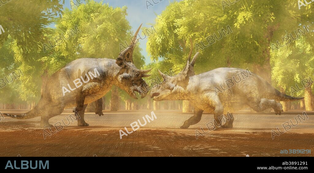 Two Diabloceratops dinosaurs fight for mating rights during the Cretaceous Period of Utah, North America.